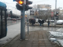Студен таралясник заряза хората по средата на улицата! Шофьорката: Дотук сме!