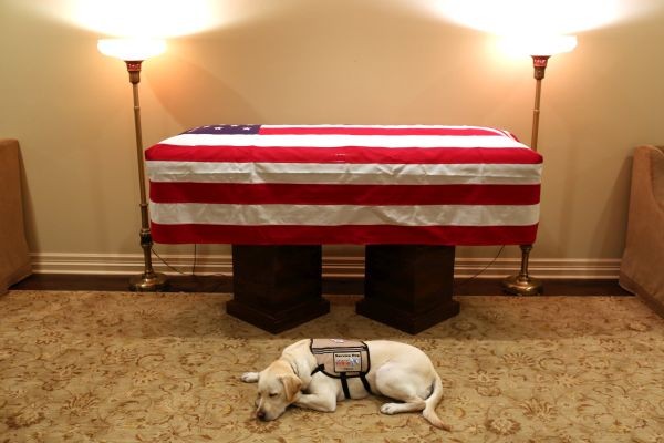 Трогателна снимка на кучето на покойния 41-ви президент на САЩ. 2-годишният