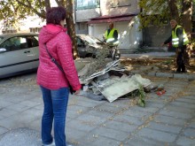 "Чистота" с важен призив към пловдивчани