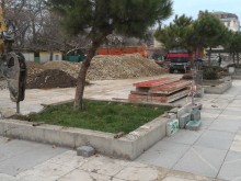 Местят дърветата от площад "Централен", идва ред и на "Спиралата"