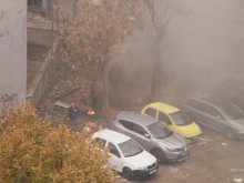 Пример от махалите стана заразителен! Мъж одими "Кършияка" и накичи дърветата нестандартно