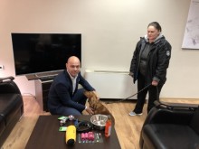 Приключват кампании в подкрепа на собствениците на домашни кучета и котки в Пловдив