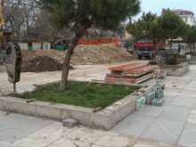 Местят пиниите от площад "Централен"