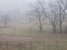 Пловдивчанка: Паркинг побеля от кърпички, с които труженички се позабърсват след "услугите"