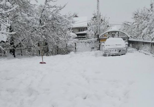 Студ и сняг сковаха Европа В Сърбия валя цяло денонощие