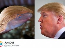 ����������, ����� ������ ������� �� � ������, �� �������� �� �����