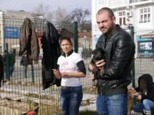 Кампания за осиновяване на кучета на Главната днес