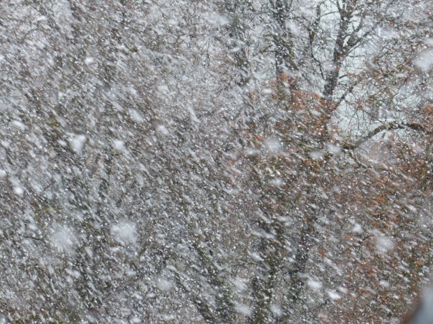 Прогноза за рязко застудяване с обилни снеговалежи на Коледа събра