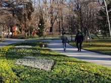 "Гражданин" си разходи помияра из новозасадените цветя в Цар Симеоновата градина