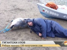 Абсолютен рекорд! Двама уловиха 138-килограмов сом!