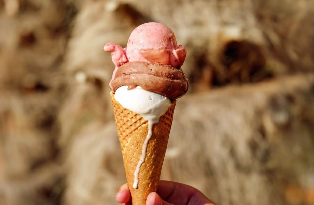 Компанията за сладоледи и замразени храни Фронери обяви плановете за