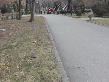 Гигантско кучешко изпражнение край детска площадка в Цар Симеоновата градина