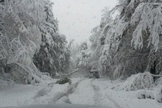 Blagoevgrad24.bg
>Заради снеговалежа в района на Предела-Банско-Разлог от Пътна полиция  предприемат
