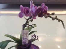 Българска майка разказа нещо, което разплака всички! Чистотата на детското сърце - незаменимо!
