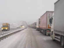 Тирове в капана на зимата