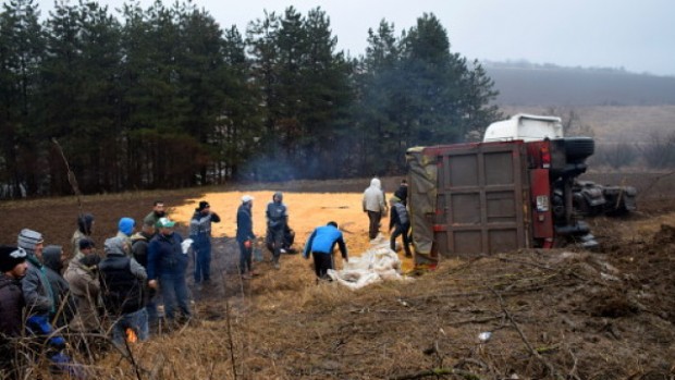 Тежкотоварен камион пълен с царевица се е обърнал край с Киченица