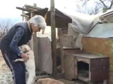 Баба кръщава животните си на български политици