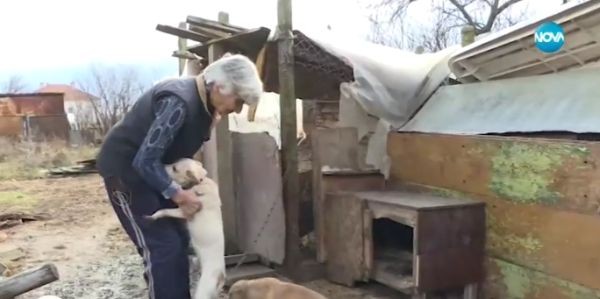 Баба кръщава животните си на български политици   Това е разказ