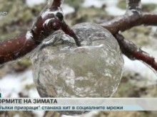 Ябълки-призраци станаха хит в социалните мрежи