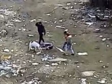 Топ водещи на Нова в пълен шок от брутални кадри