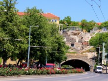 Засаждат стотици рози по булевардите в Пловдив
