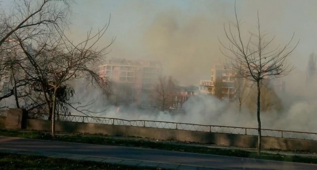 Сухи треви горят в коритото на река Марица в Пловдив