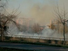 Голям пожар в коритото на Марица в Пловдив!