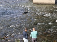 Водолази вадят трупа от Марица