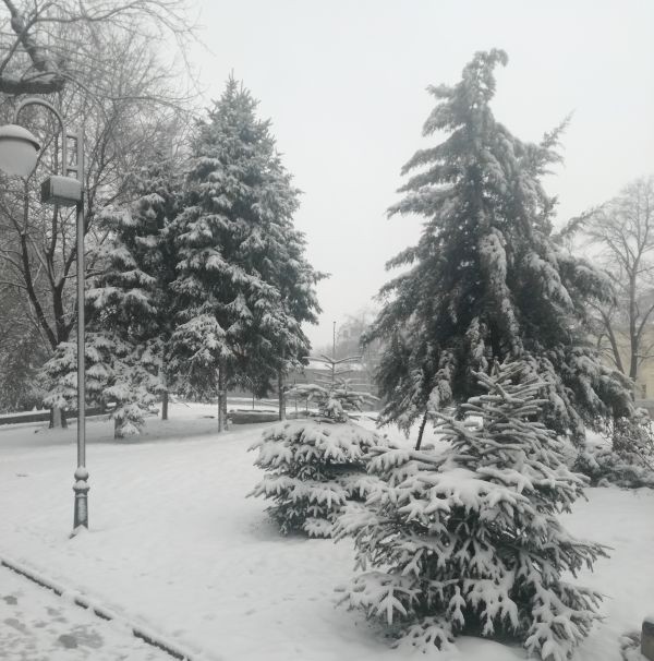 Blagoevgrad24.bg
Жълт код за сняг и вятър е в сила в