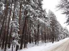 Запечатват кафене на "Хижа Здравец"?