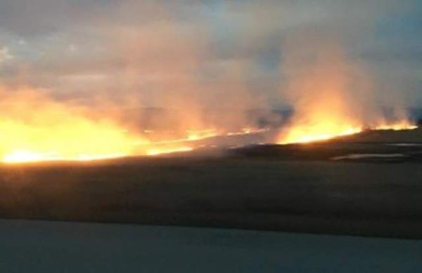 Голям пожар се е разразил при 232 233 км на АМ