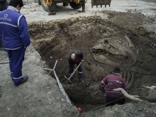 Варненци се юрнаха да търсят динозавър в разкопките на Шишковата градинка