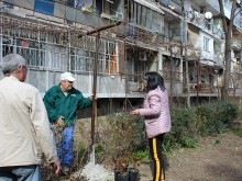 "Градини и паркове" помага с рози и храсти за обновяване на градинка пред жилищен блок
