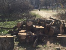 Поголовна сеч зад хотел "Санкт Петербург", хората потресени!