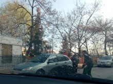 Инатливо черно прасе блокира улица в "Северен", майки и деца в шок!