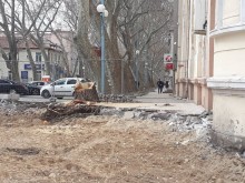 ОП "Градини и паркове" предотврати тежък инцидент!