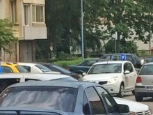 Нови изисквания оскъпяват шофьорските курсове