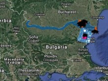 Нови случаи на Африканска чума при диви свине у нас!