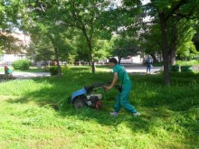 Започва пръскане срещу кърлежи в Пловдив