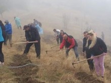 Доброволци и местни жители залесиха местност в село Руен