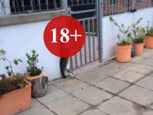 Нечовеци обесиха котка! Ще има ли наказание за зверската им постъпка? (18+)