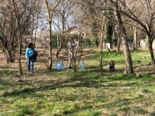 Доброволци правят лабиринт за деца в Ботаническата градина
