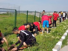 Футболисти и юноши на Атлетик (Куклен) засадиха дръвчета в района на стадиона
