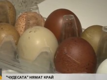 На едно място в България кокошките снасят цветни яйца
