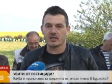 Стотици хиляди отровени пчелни семейства