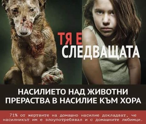 Варна ще подкрепи националният протест в защита на животните, научи