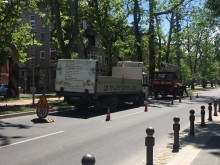 Санитарна сеч по бул. "Руски" затруднява движението