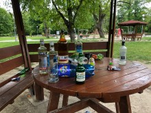 Безумна алкохолна "оргия" в пловдивски парк