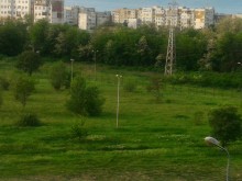 В Пловдив пръскат срещу кърлежи, комари и кестенов молец