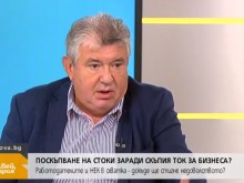 Сравниха НЕК с футболен съдия, който с решенията си, може да повлияе на крайния изход
